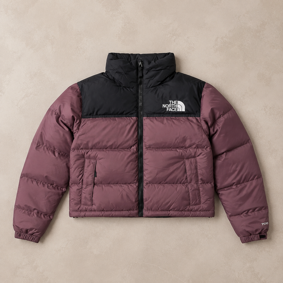 Chaqueta Tnf Mujer